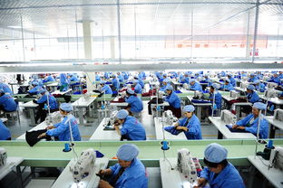 萬(wàn)億藍(lán)海 互聯(lián)網(wǎng)服務(wù)市場(chǎng)的崛起與未來(lái)